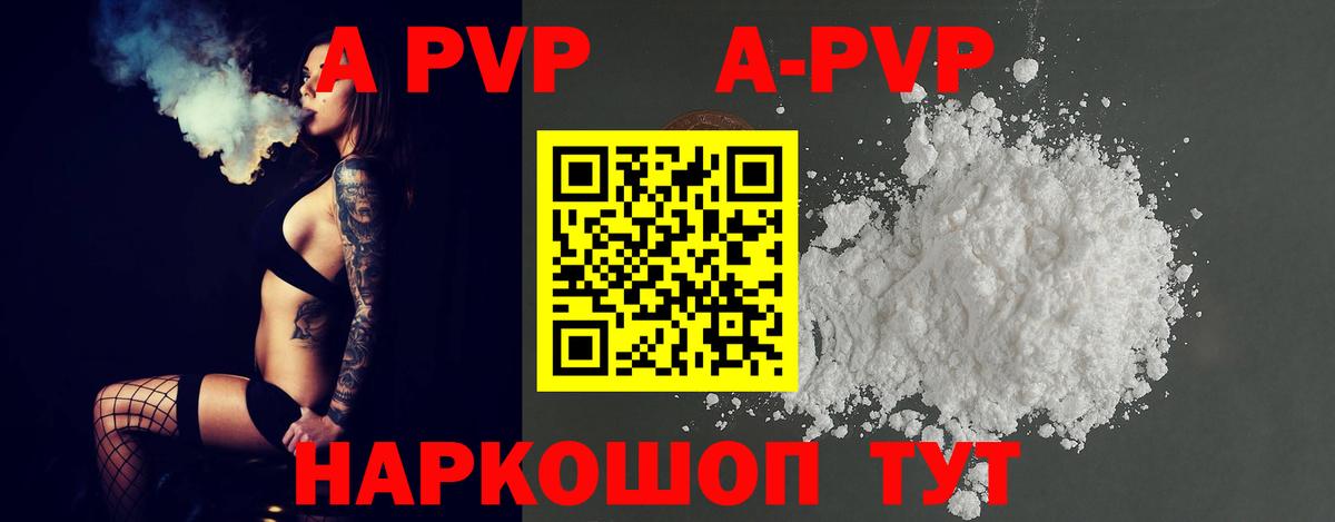 A PVP СК КРИС Бийск