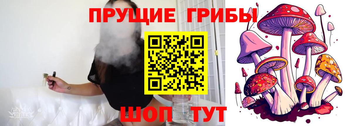 Бийск  Галлюциногенные грибы GOLDEN TEACHER  Вход с VPN 