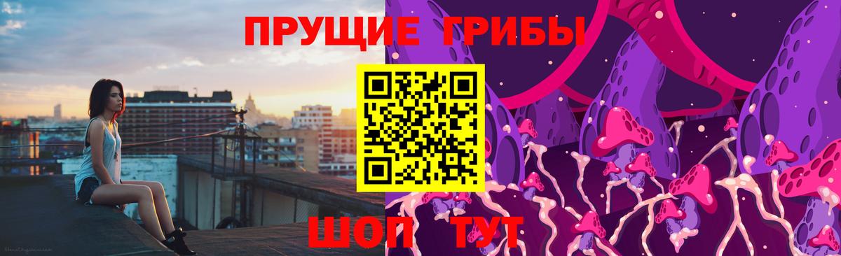 Галлюциногенные грибы Psilocybe Бийск